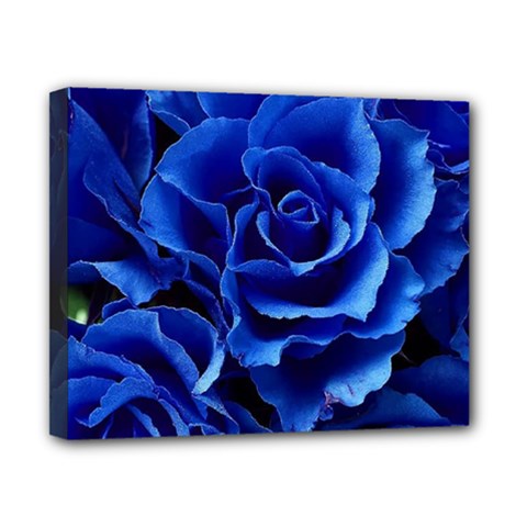 Blue Roses Flowers Plant Romance Blossom Bloom Nature Flora Petals Canvas 10  X 8  (stretched) by Proyonanggan