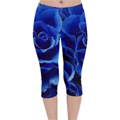 Blue Roses Flowers Plant Romance Blossom Bloom Nature Flora Petals Velvet Capri Leggings  by Proyonanggan