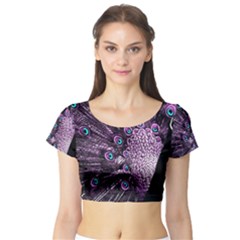 Purple Peacock Short Sleeve Crop Top by Bedest