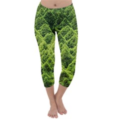 Green Pine Forest Capri Winter Leggings 