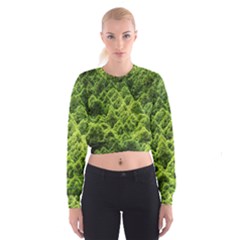 Green Pine Forest Cropped Sweatshirt