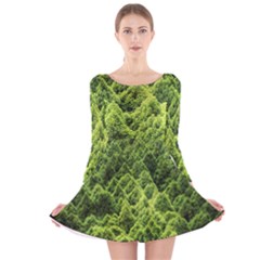 Green Pine Forest Long Sleeve Velvet Skater Dress