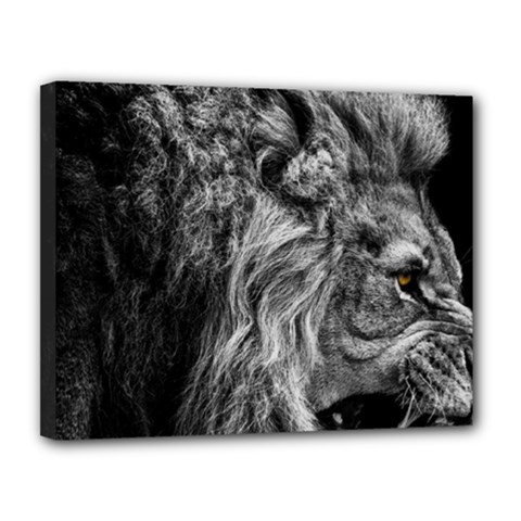 Angry Male Lion Wild Animal Canvas 14  X 11  (stretched) by Loisa77