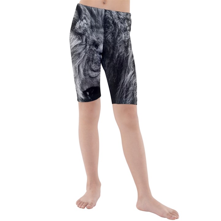 Angry Male Lion Wild Animal Kids  Mid Length Swim Shorts