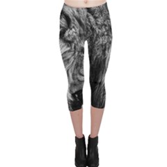 Angry Male Lion Wild Animal Capri Leggings  by Loisa77