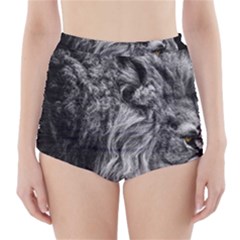 Angry Male Lion Wild Animal High-waisted Bikini Bottoms by Loisa77