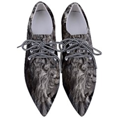 Angry Male Lion Wild Animal Pointed Oxford Shoes by Loisa77