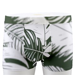 Abstract Art Tropical Leaves Men s Boxer Briefs by Valentinaart