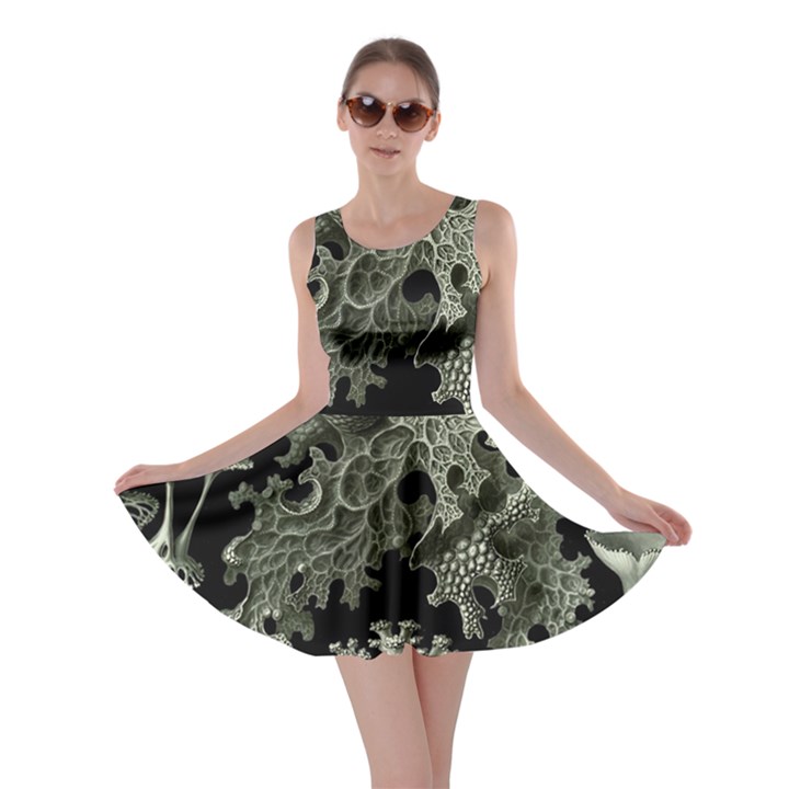 Weave Haeckel Lichenes Photobionten Skater Dress