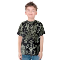 Weave Haeckel Lichenes Photobionten Kids  Cotton T-shirt