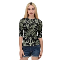 Weave Haeckel Lichenes Photobionten Quarter Sleeve Raglan T-shirt