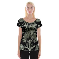 Weave Haeckel Lichenes Photobionten Cap Sleeve Top