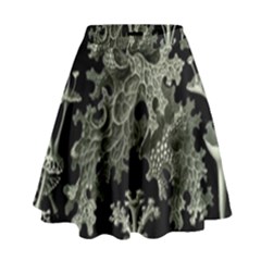 Weave Haeckel Lichenes Photobionten High Waist Skirt