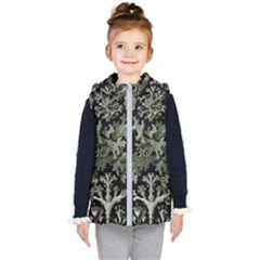 Weave Haeckel Lichenes Photobionten Kids  Hooded Puffer Vest