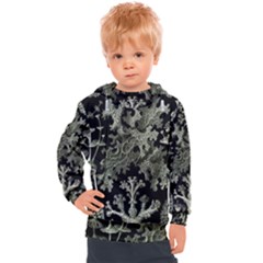 Weave Haeckel Lichenes Photobionten Kids  Hooded Pullover