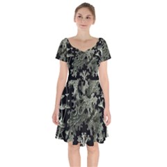 Weave Haeckel Lichenes Photobionten Short Sleeve Bardot Dress