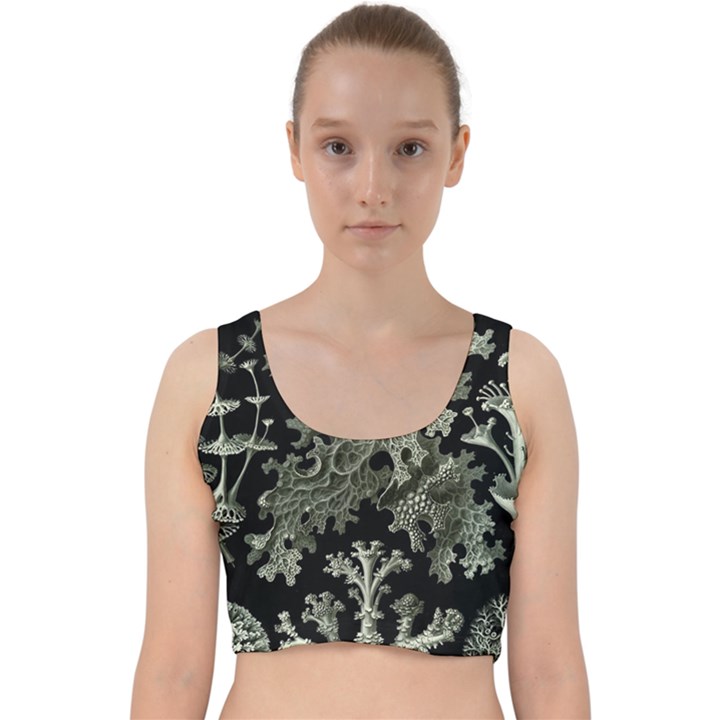 Weave Haeckel Lichenes Photobionten Velvet Racer Back Crop Top