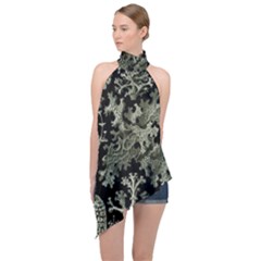 Weave Haeckel Lichenes Photobionten Halter Asymmetric Satin Top