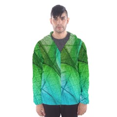 3d Leaves Texture Sheet Blue Green Men s Hooded Windbreaker