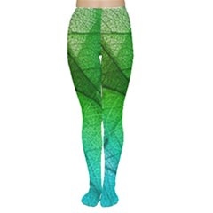 3d Leaves Texture Sheet Blue Green Tights