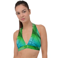 3d Leaves Texture Sheet Blue Green Halter Plunge Bikini Top by Cemarart