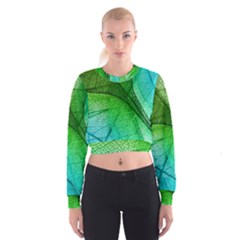 3d Leaves Texture Sheet Blue Green Cropped Sweatshirt