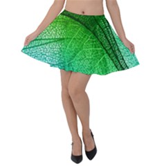 3d Leaves Texture Sheet Blue Green Velvet Skater Skirt