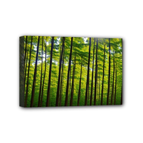 Green Forest Jungle Trees Nature Sunny Mini Canvas 6  X 4  (stretched) by Ravend