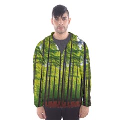 Green Forest Jungle Trees Nature Sunny Men s Hooded Windbreaker by Ravend