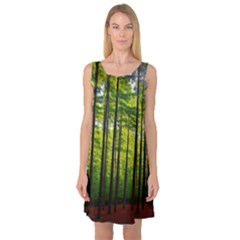 Green Forest Jungle Trees Nature Sunny Sleeveless Satin Nightdress by Ravend