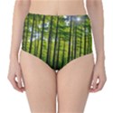 Green Forest Jungle Trees Nature Sunny Classic High-Waist Bikini Bottoms View1