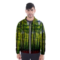 Green Forest Jungle Trees Nature Sunny Men s Windbreaker