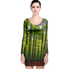 Green Forest Jungle Trees Nature Sunny Long Sleeve Velvet Bodycon Dress