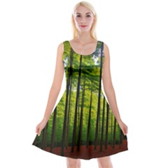 Green Forest Jungle Trees Nature Sunny Reversible Velvet Sleeveless Dress