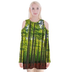 Green Forest Jungle Trees Nature Sunny Velvet Long Sleeve Shoulder Cutout Dress by Ravend