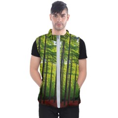 Green Forest Jungle Trees Nature Sunny Men s Puffer Vest