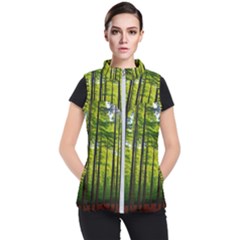 Green Forest Jungle Trees Nature Sunny Women s Puffer Vest