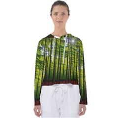 Green Forest Jungle Trees Nature Sunny Women s Slouchy Sweat