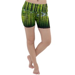 Green Forest Jungle Trees Nature Sunny Lightweight Velour Yoga Shorts by Ravend