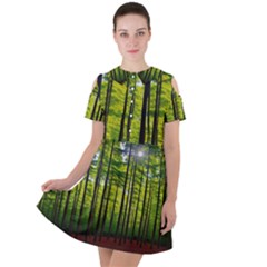 Green Forest Jungle Trees Nature Sunny Short Sleeve Shoulder Cut Out Dress  by Ravend