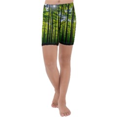 Green Forest Jungle Trees Nature Sunny Kids  Lightweight Velour Capri Yoga Leggings by Ravend