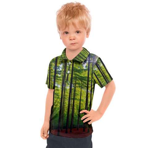 Green Forest Jungle Trees Nature Sunny Kids  Polo T-shirt by Ravend