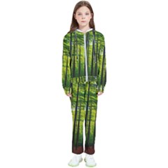 Green Forest Jungle Trees Nature Sunny Kids  Tracksuit by Ravend