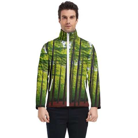 Green Forest Jungle Trees Nature Sunny Men s Bomber Jacket by Ravend