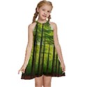 Green Forest Jungle Trees Nature Sunny Kids  Halter Collar Waist Tie Chiffon Dress View1