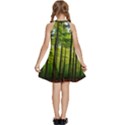 Green Forest Jungle Trees Nature Sunny Kids  Halter Collar Waist Tie Chiffon Dress View4