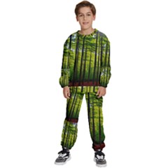 Green Forest Jungle Trees Nature Sunny Kids  Sweatshirt Set