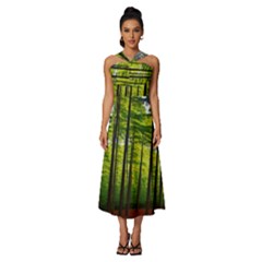 Green Forest Jungle Trees Nature Sunny Sleeveless Cross Front Cocktail Midi Chiffon Dress by Ravend