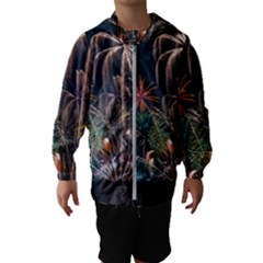 Firework Fireworks Display Lake Kids  Hooded Windbreaker