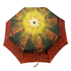 Forest Woods Autumn Nature Folding Umbrellas by Proyonanggan